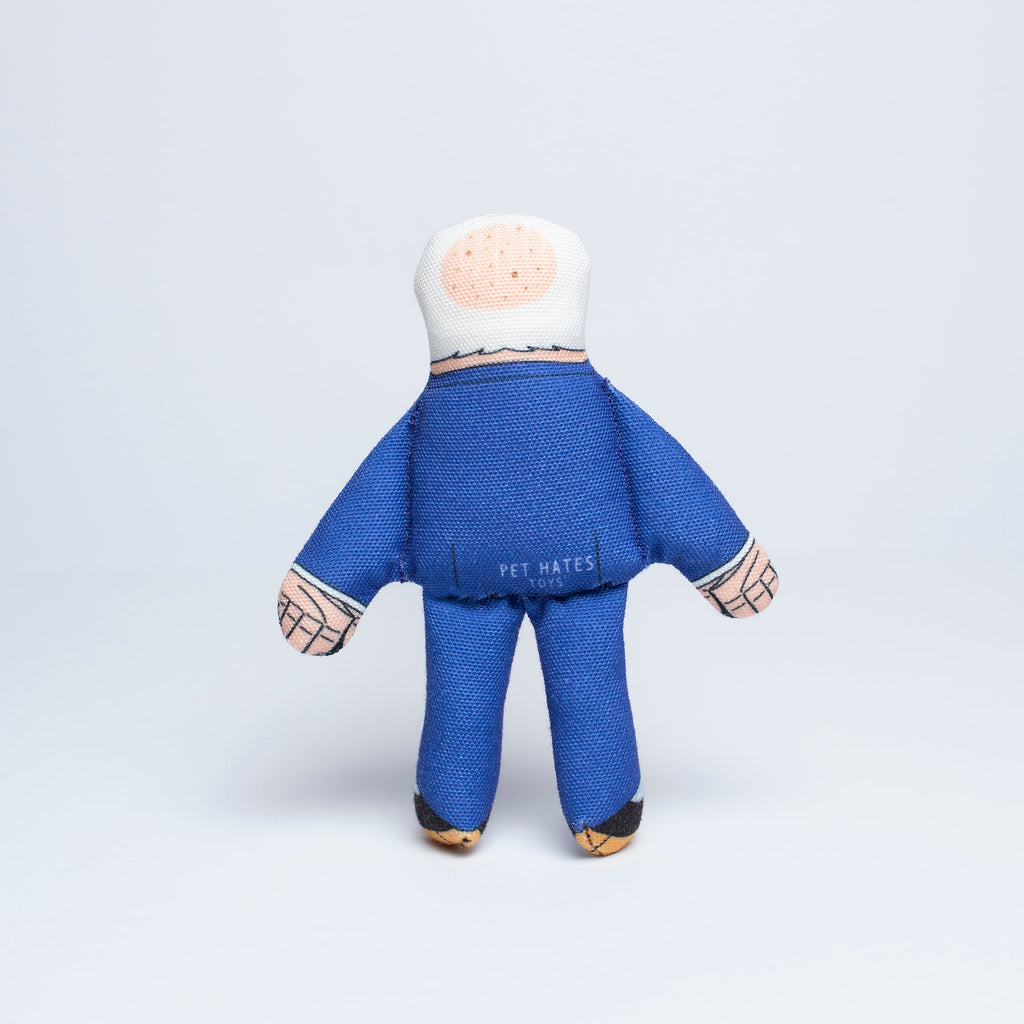 Joe cat toy