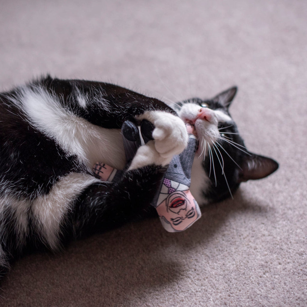 Nigel Farage cat toy
