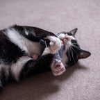 Nigel Farage cat toy