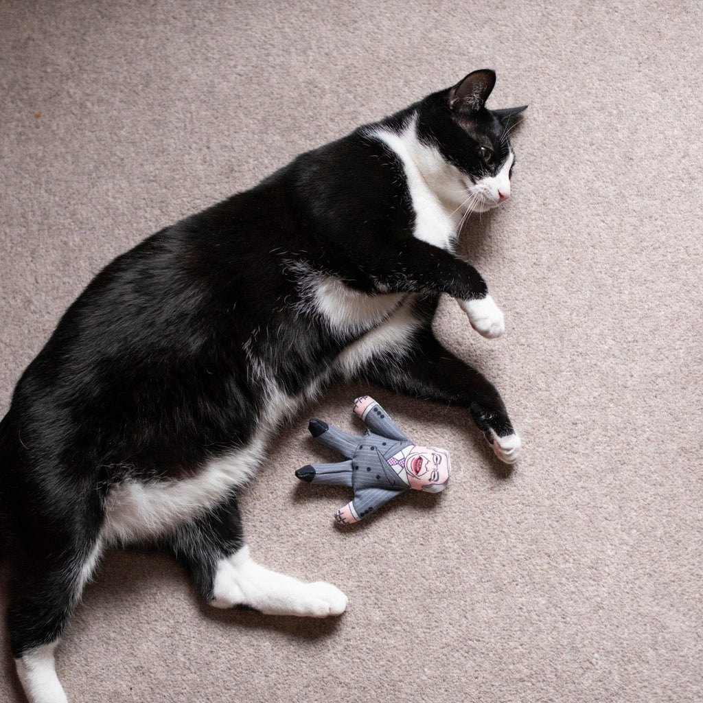 Nigel Farage cat toy