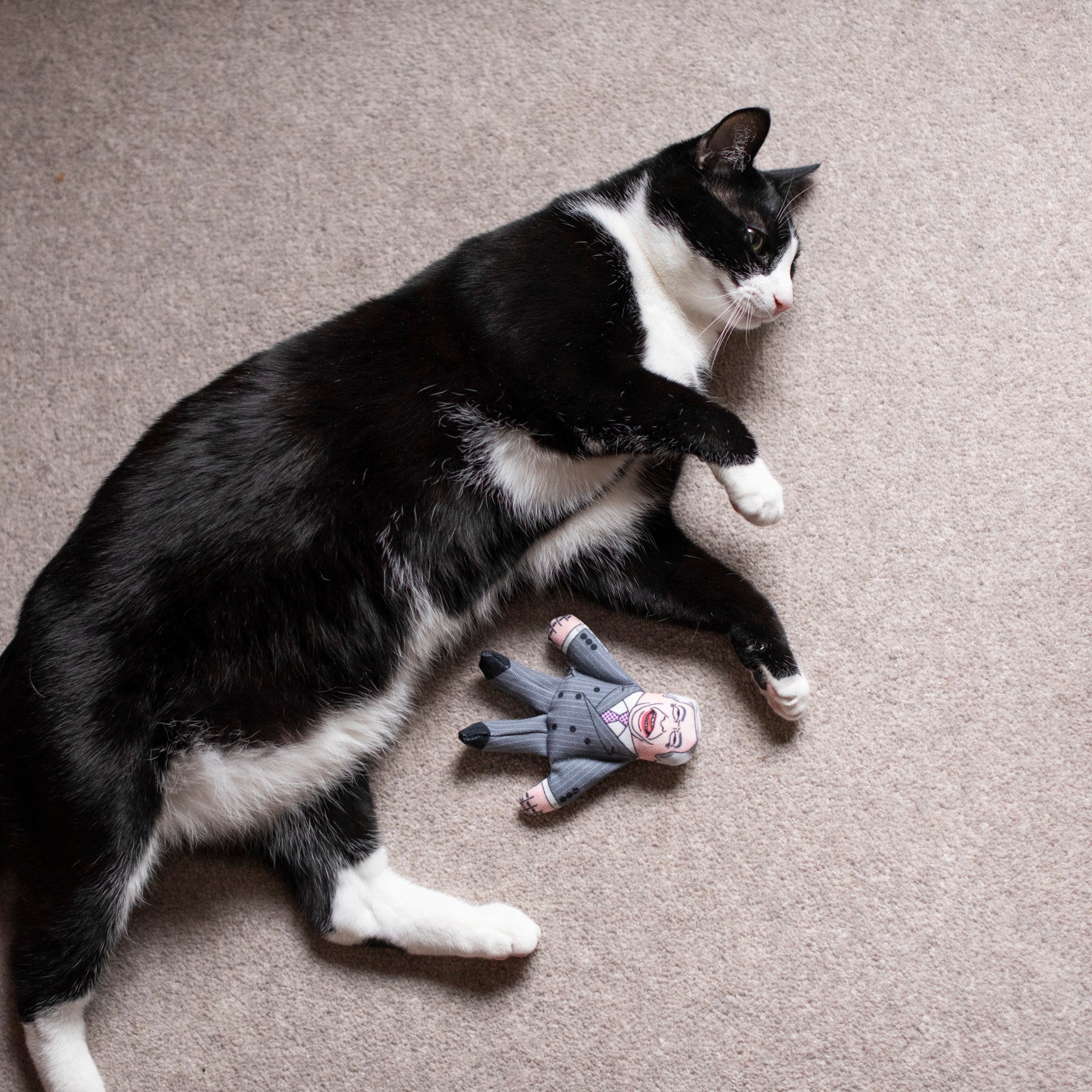 Nigel Farage cat toy