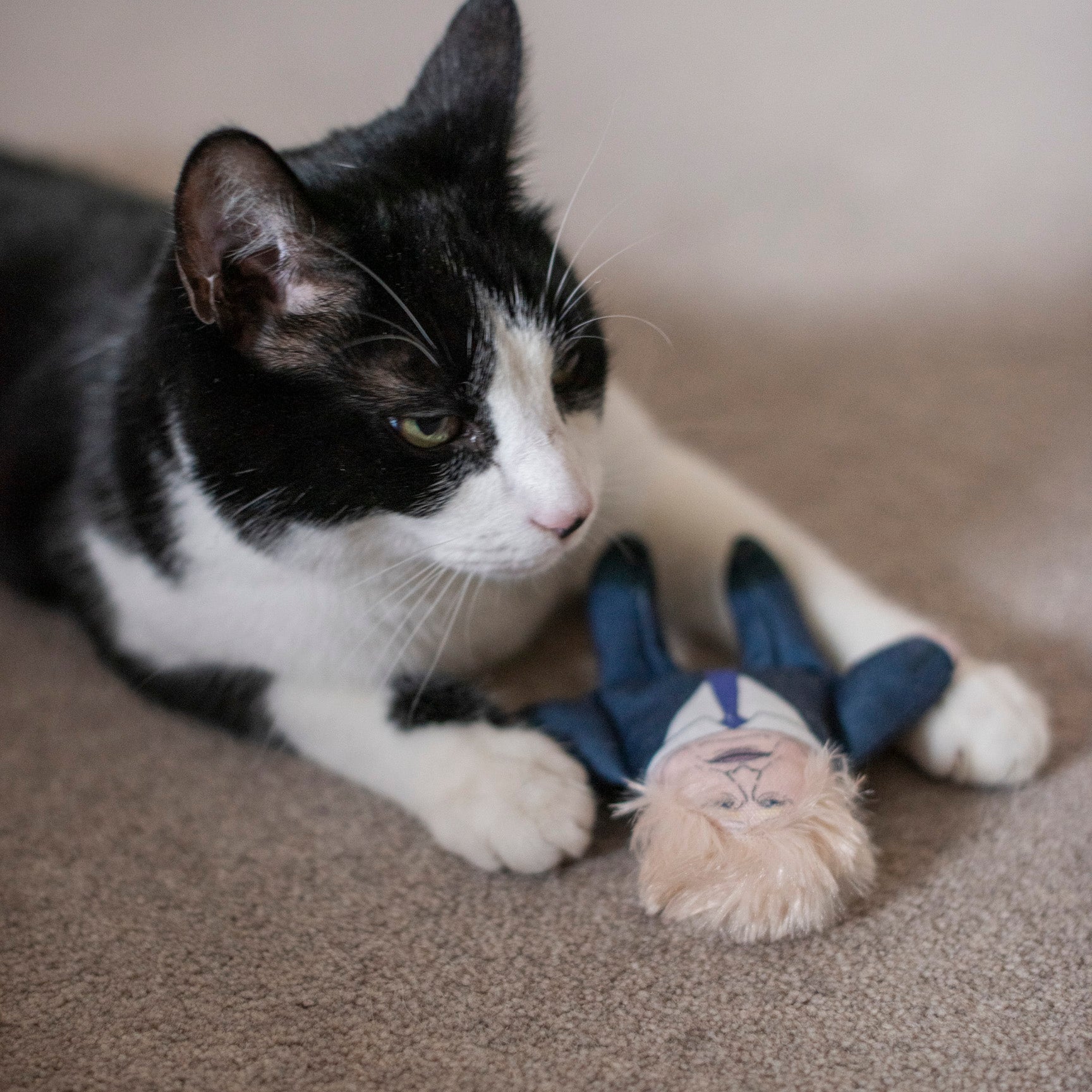 Boris Johnson cat toy