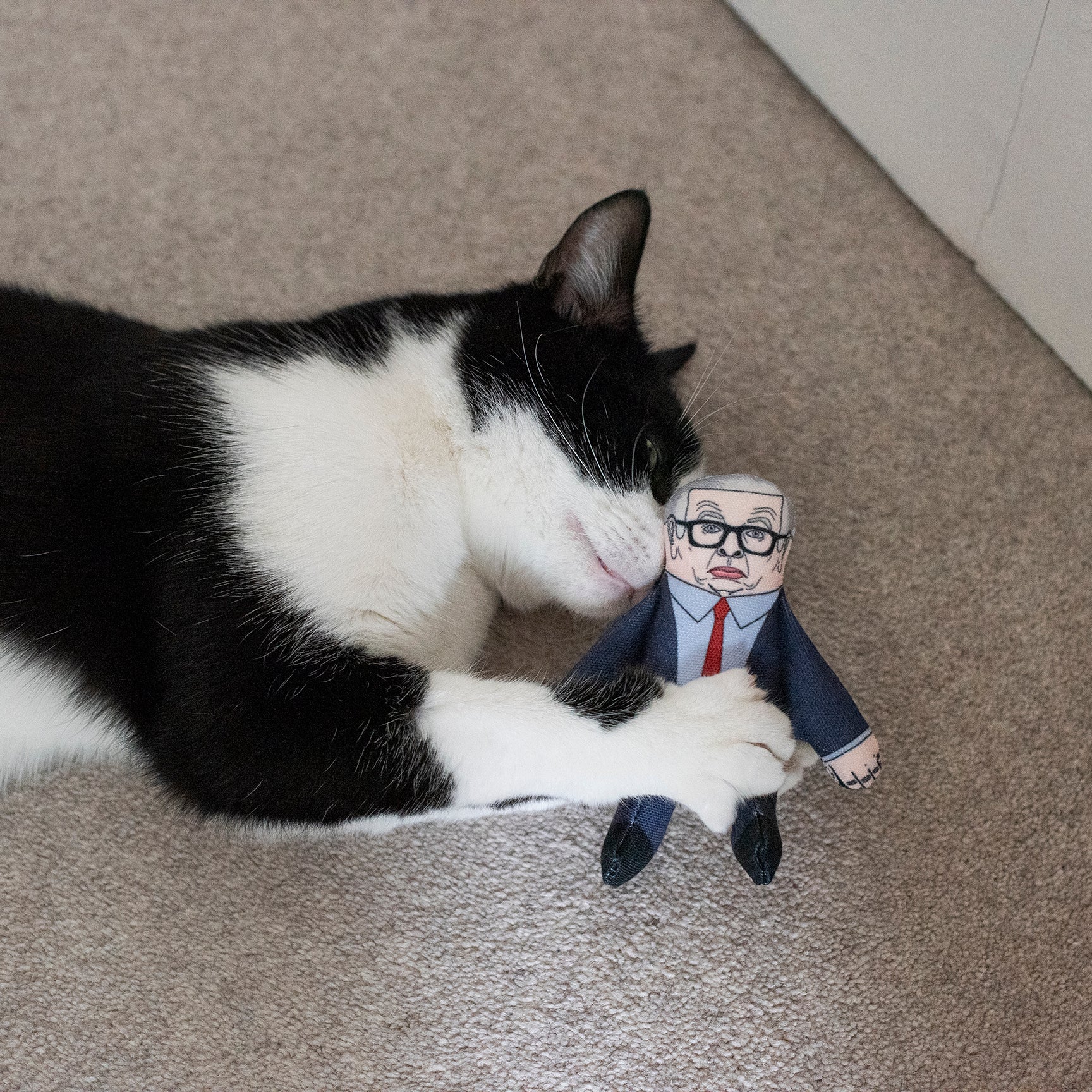 Michael Gove cat toy