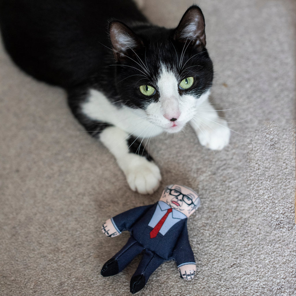 Michael Gove cat toy