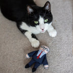 Michael Gove cat toy