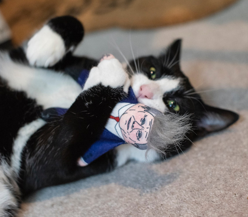 Keir Starmer cat toy