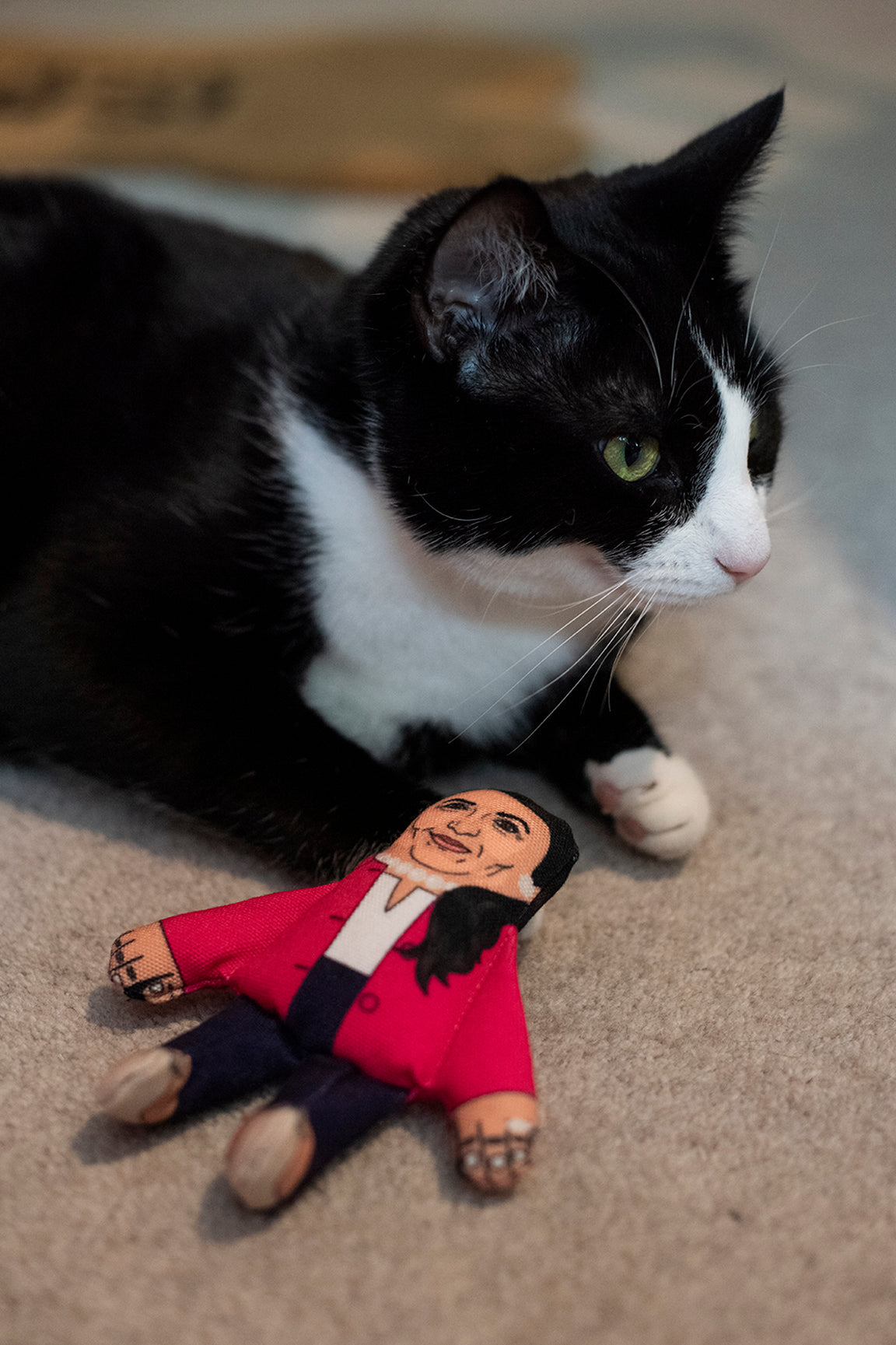 Priti Pawtel cat toy