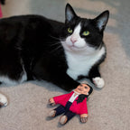 Priti Pawtel cat toy