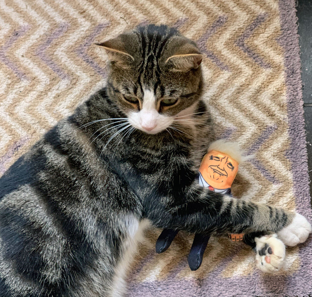 Donald Trump Cat Toy