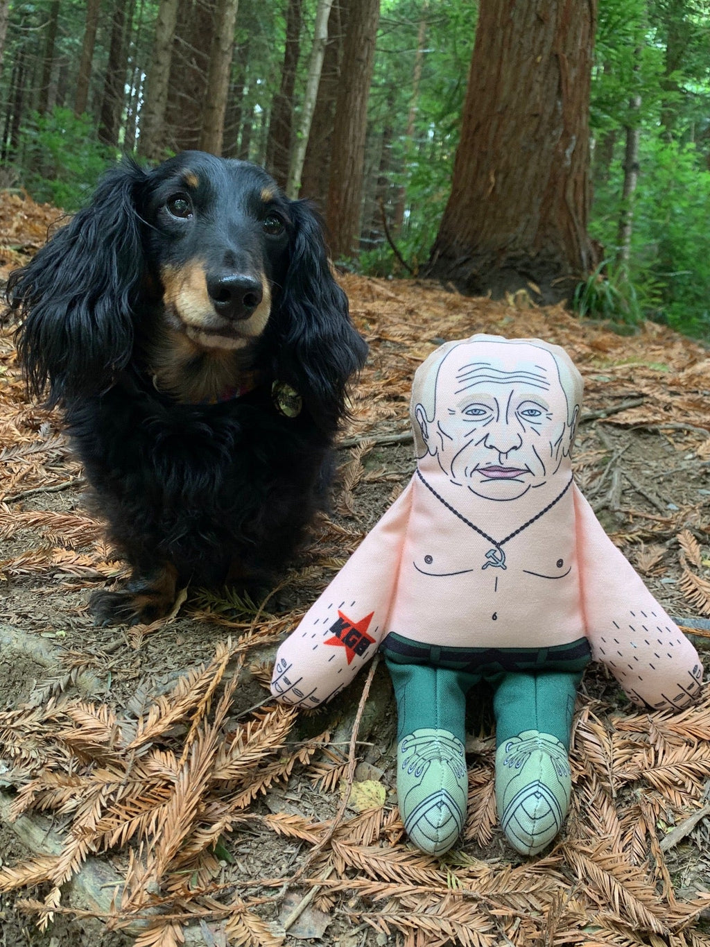 Vladimir Putin dog toy