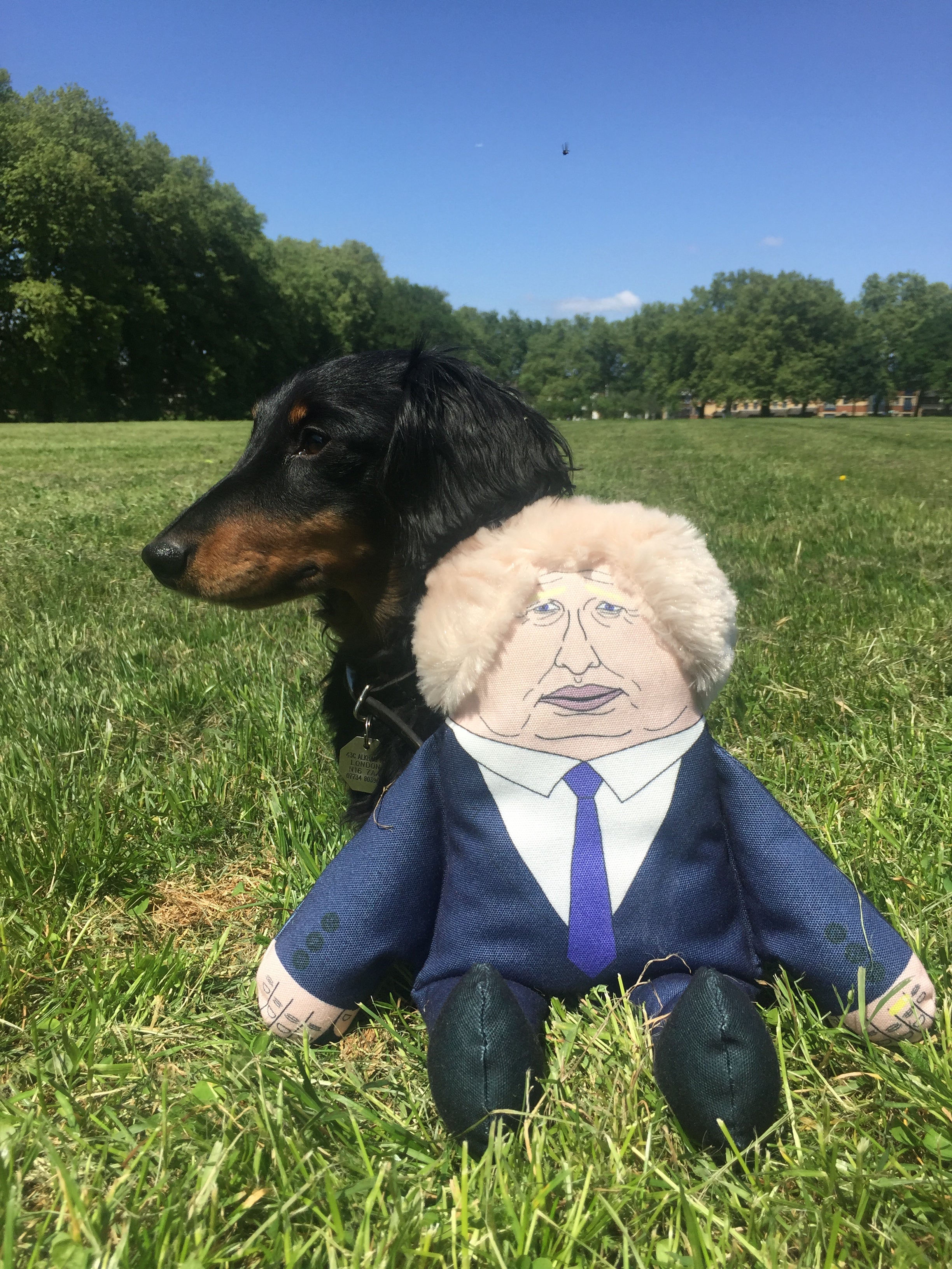 Boris dog toy