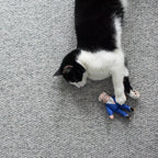Joe cat toy
