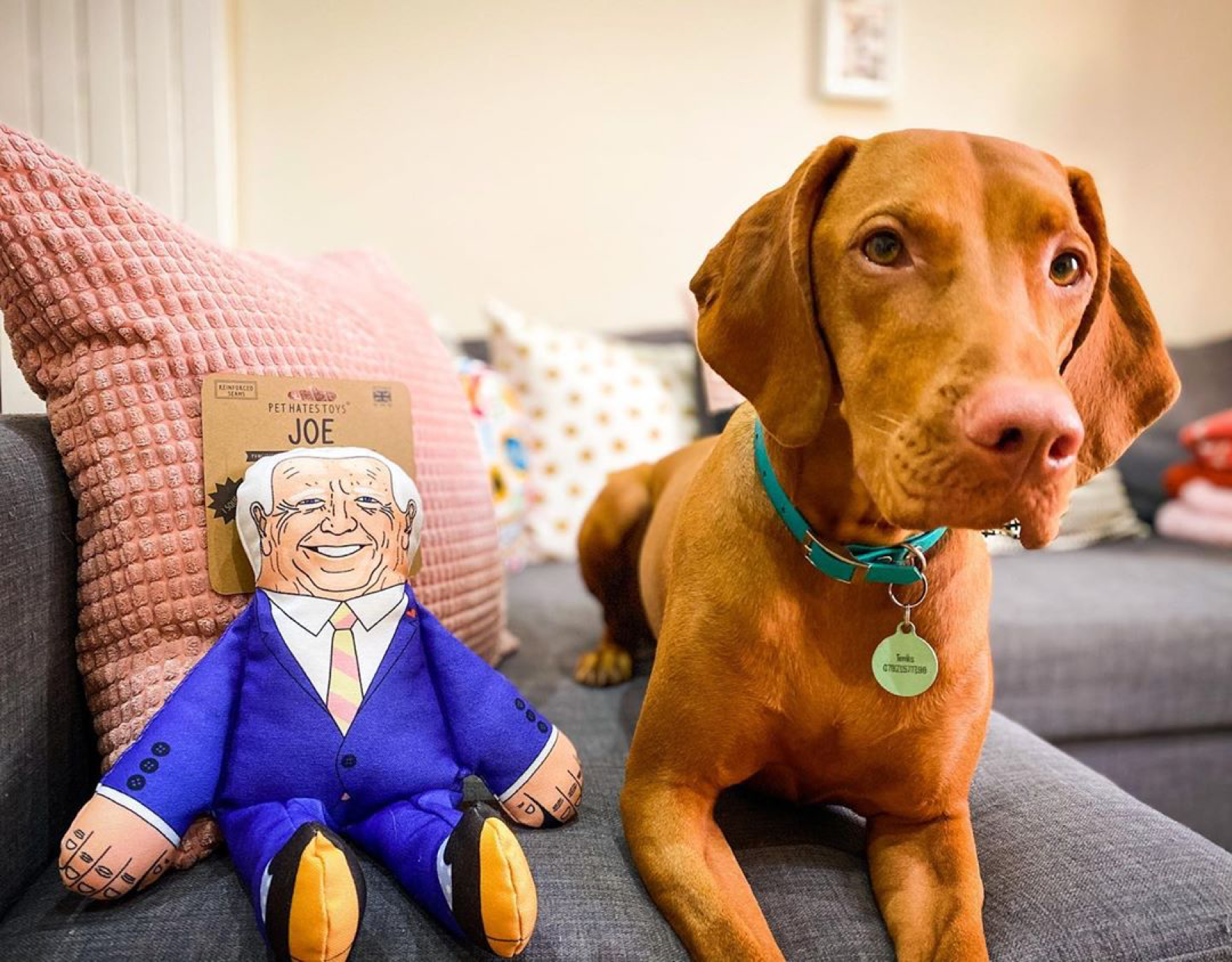 Joe Biden dog toy