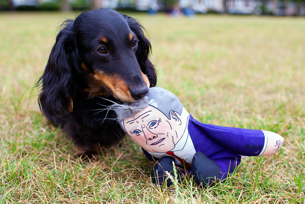 Keir Starmer Dog Toy