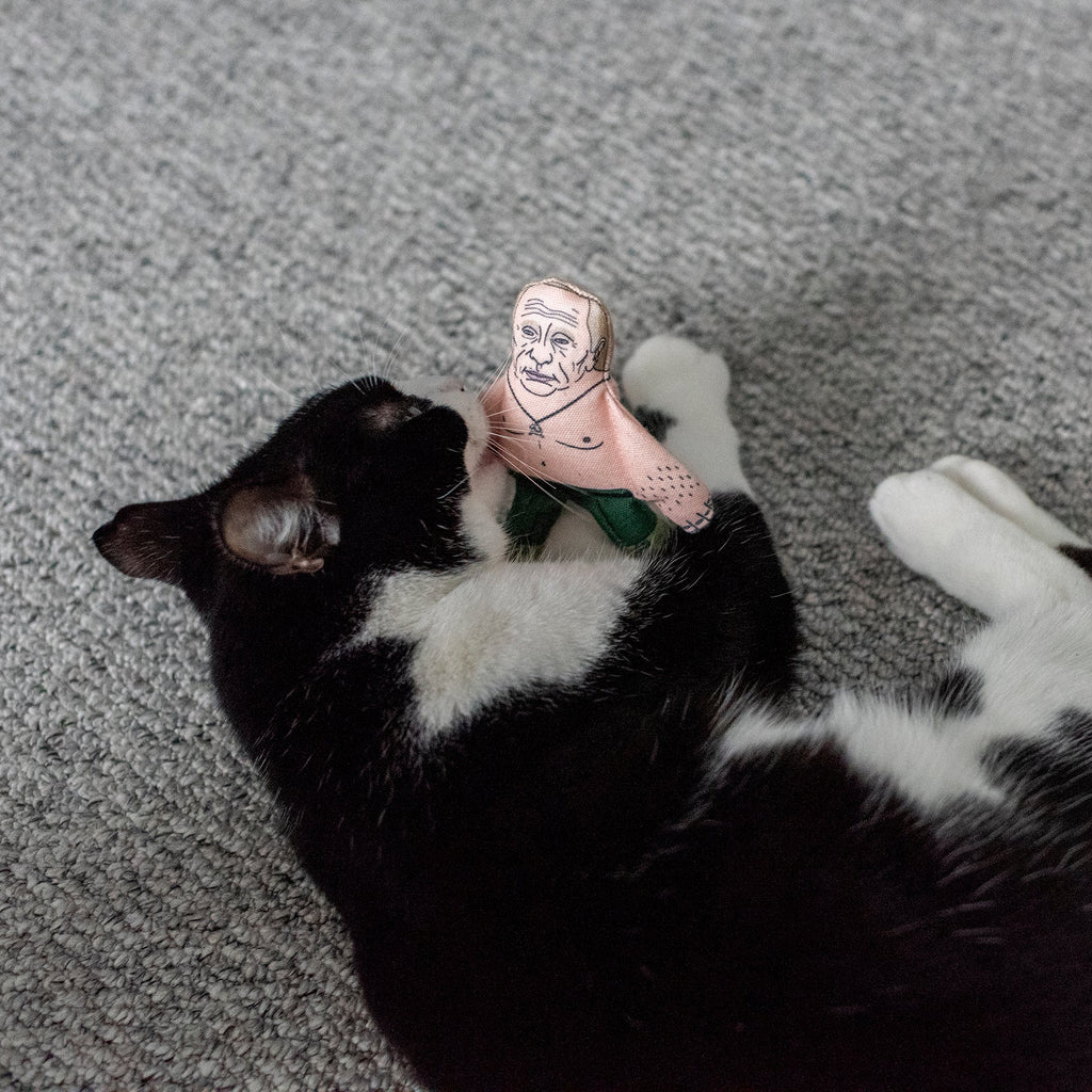 Vladimir Putin cat toy