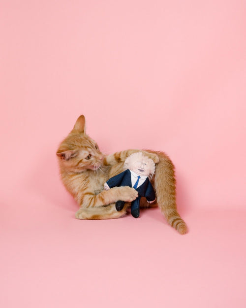 Boris Johnson cat toy