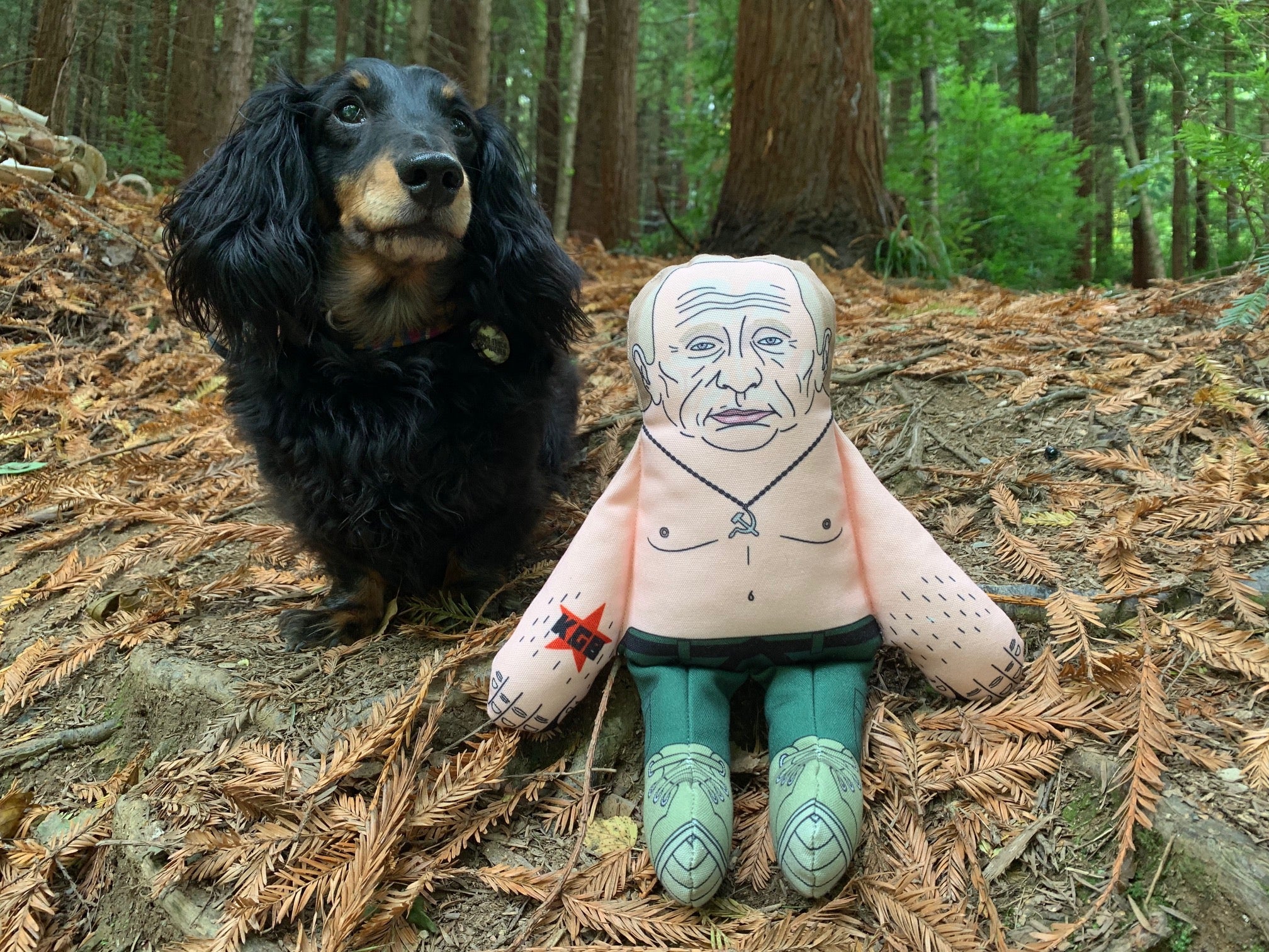 Vladimir Putin dog toy
