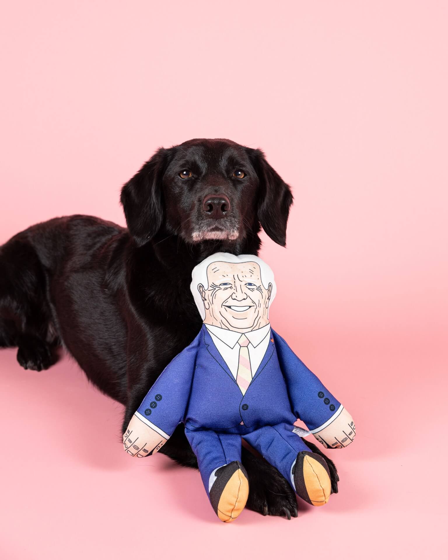 Joe Biden dog toy