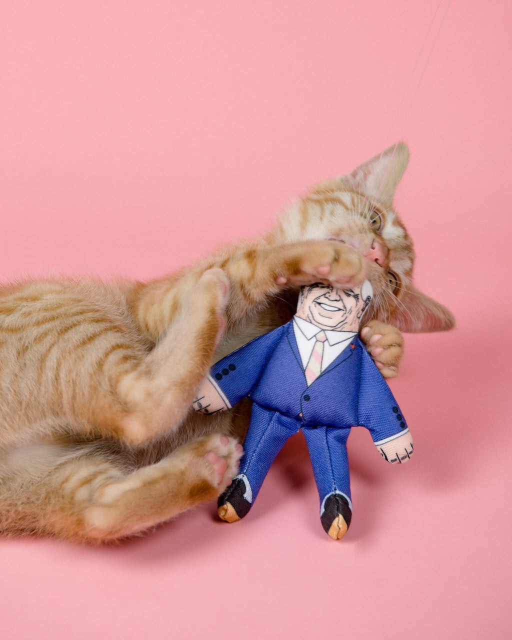 Joe cat toy