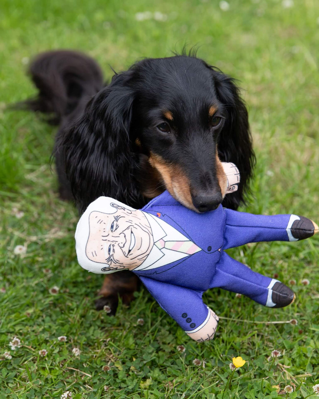 Joe Biden dog toy