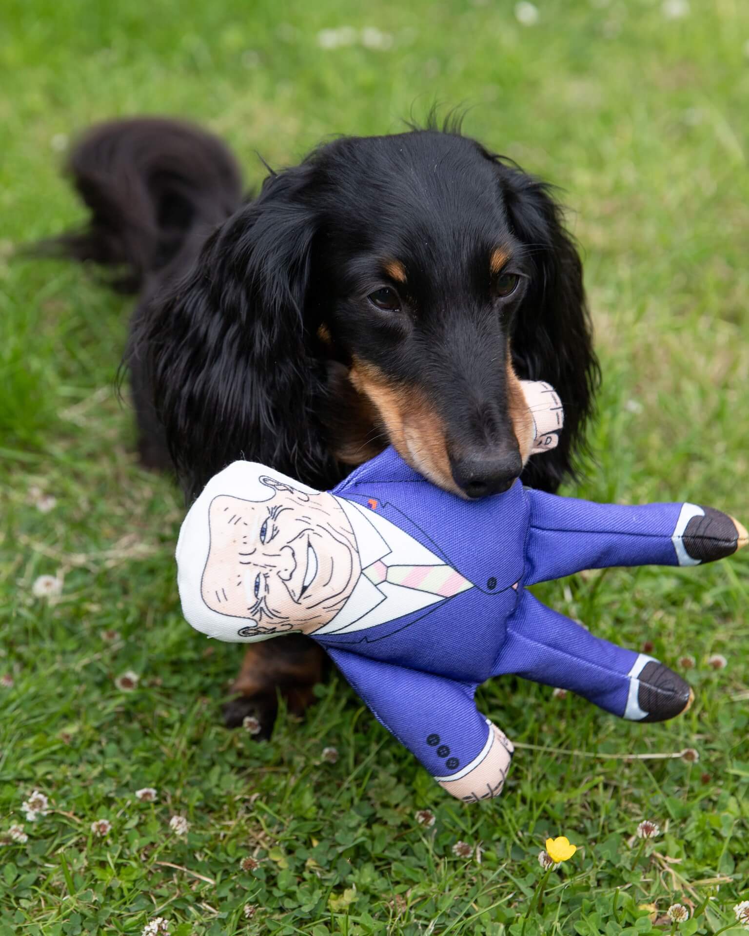 Joe Biden dog toy