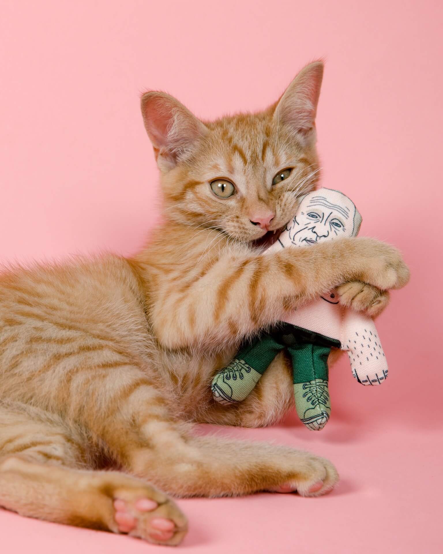Vladimir Putin cat toy